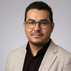 Prof. Dr. Luis Alberto P&eacute;rez Amezcua